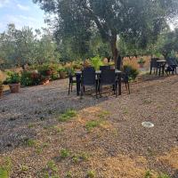 Antico Palmento - B&B Campagna