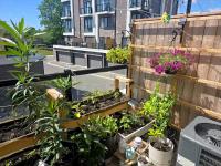 Downsview Park Retreat - Rogers Stadium Getaway 2 - B&B Toronto
