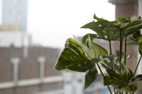 Hayy Urban One Bedroom Retreat, Leeds Centre - B&B Leeds