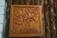 Mariposa Jungle Lodge - B&B San Ignacio