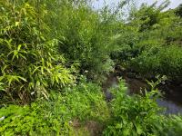 Acorn Creek Tented Camp - Ferienwohnung Nidda