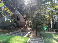 Treestays shangarh - B&B Shiāna Gaura