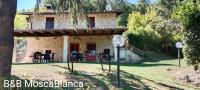 B&B Mosca Bianca - B&B Ascoli Piceno