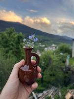 Kesane Hotel Mestia - Ferienwohnung Mestia