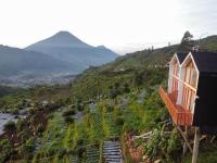 Tribuana villa Dieng - B&B Kejajar