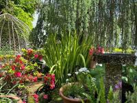 Welcome to Madame Cholets House in Wombleton - B&B Helmsley