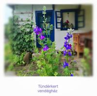 Tündérkert vendégház - Bed and Breakfast Sânsimion