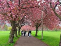 Bright Marchmont 2BR Meadows Edinburgh Centre - B&B Edinburgh
