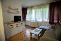 Quaint Studio With Massive Windows - Ferienwohnung Kragujevac