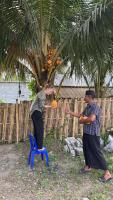 Local Garden Homestay - B&B Masbagik