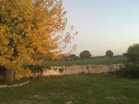 Trullo Ciclovia Acquedotto Pugliese - B&B Cisternino
