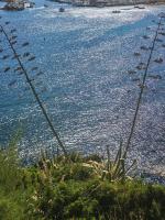 la casa di anna - B&B Piombino