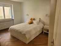 Bright, large apartment close to SBB with garage - B&B Basilea