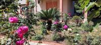 ETNA MARE Jonio - Bed and Breakfast Giarre