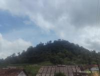 Tvkhomestay - Bed and Breakfast Valparai