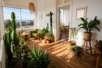 Silvestre Hostel - Ferienwohnung Pichilemu