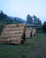 Tenda
