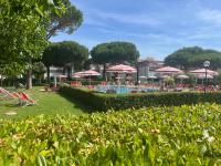 Casina mare bibbona - Bed and Breakfast Marina di Bibbona