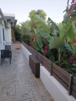 Ioanna Studio Διαμέρισμα κοντά στη θάλασσα. - Ferienwohnung Kolymbia