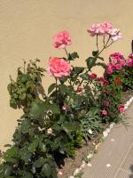 Green Coast Escape - Bed and Breakfast Palasë