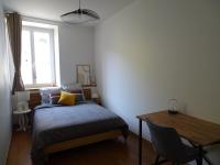 Large Family Home - Bed and Breakfast L'Abergement-de-Varey