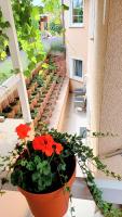 Ferienwohnung Maria - B&B Hörnsheim