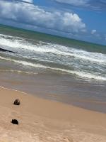 Kitnet em Santo Antônio - B&B Mata de São João