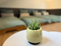 Charmante gemütliche Ferienwohnung - B&B Pfullendorf