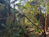 Kholiwe 1 - 4 sleeper glamping in a forest - Chambres d'hôtes Port Edward
