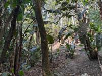 Kholiwe 1 - 4 sleeper glamping in a forest - Chambres d'hôtes Port Edward