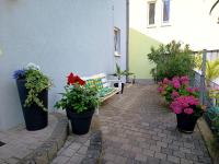 Ferienwohnung mit Terrasse - B&B Insheim