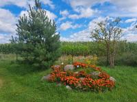 Domekpodgrusza - B&B Lutom