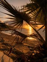 Grand appartement les pieds dans l'eau - B&B Villajoyosa