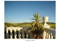 Palacio de Montellano - B&B Montellano