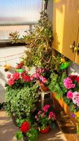 U Miki - B&B Ustka