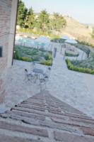 Il Gigante - B&B Appignano del Tronto