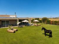 GF Luxury Villa with indoor pool -Afytos - B&B Áfytos