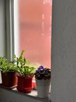 Apartments "M&M-2" - Ferienwohnung Mostar