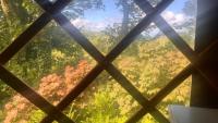Adorable Yurt Glamping Bantry - B&B Bantry
