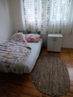 Gray - B&B Valjevo