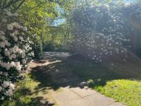 Ruhiges Ferienhaus direkt am Wald - Ferienwohnung Hechthausen