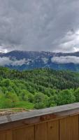 Wooden cottage in Svaneti - Ferienwohnung Mestia