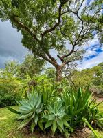 Cozy Ensuite by the Pool near Sam Levys - B&B Harare