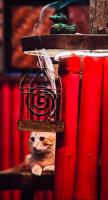 Firefly Treehouse Cafe and Bar - B&B Ytaya