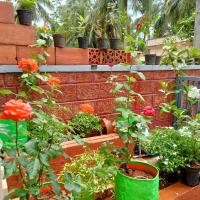 DhruvDhanush-the eco friendly homes - B&B Ullal