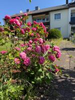 Ferien- und Monteurwohnung Rotbühl - Ferienwohnung Sindelfingen