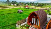 Bale Rinjani Lodge & Cafe - B&B Tetebatu