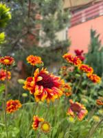 Harmony Haven - Spacious 4BR House with Free Parking - B&B Cluj-Napoca