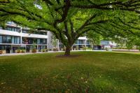 Charming 1BR Oasis, Bedroom TV, Canberra CBD - Bed and Breakfast Broughton Vale
