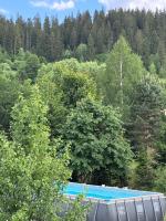 SOKIL HOUSE будинок з чаном та літнім басейном - B&B Slavske
